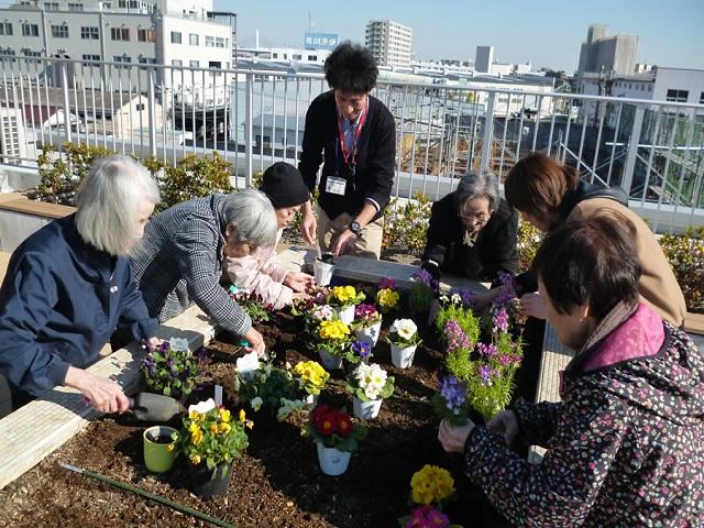 屋上菜園