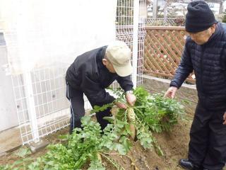 施設裏に家庭菜園もあります！