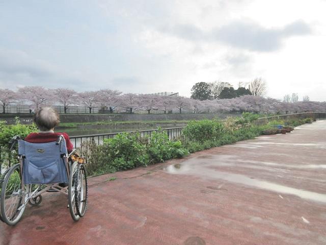 お散歩風景