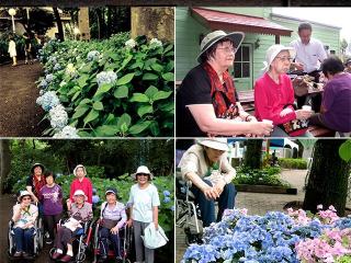 [施設の日常・イベント]【あじさい祭】
近くにあるとしまえんのあじさい祭。色とりどりの紫陽花が咲き多くの人で賑わいます。