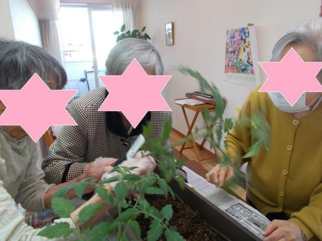 ラカーサ青山?菜園情報?