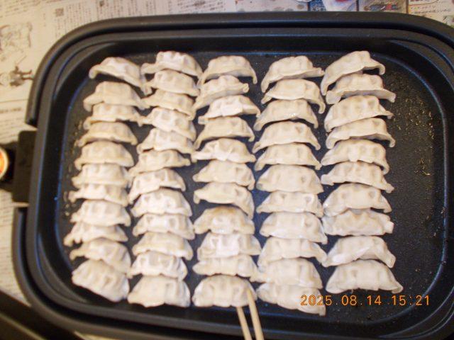 🥟餃子party🎉✨