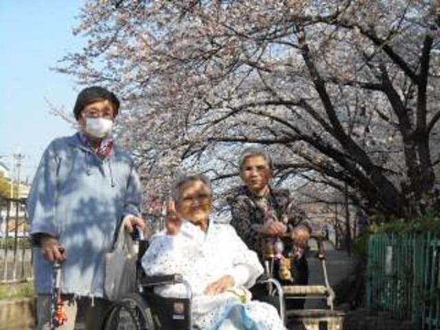 [施設の日常・イベント]春には近隣へお花見へ行きます。外出することで気持ちがリフレッシュすると、みなさま喜ばれています。