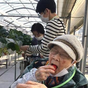いちご狩り③