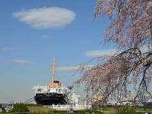 【山下公園】 車 10分
海と船と緑が調和した素敵な公園です。