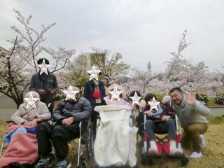 [施設の日常・イベント]お花見で大きな公園へ出掛けました。その時期にあった外出レクをご用意しています。