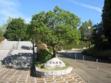 【猪高緑地公園】 徒歩 15分
名古屋でも有数の広さで自然豊かな公園。