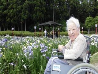 [施設の日常・イベント]菖蒲園おでかけレク♪