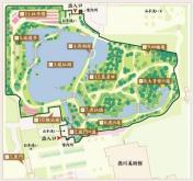 【徳川園】 車 15分
徳川家由来の観光スポット。日本庭園がとてもキレイです。