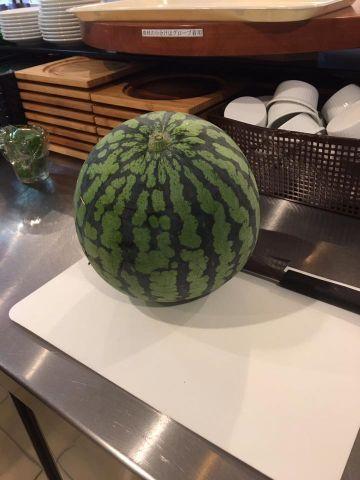【スイカの収穫?】