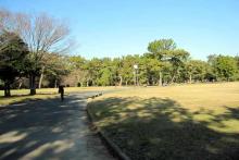 【高師緑地公園】 徒歩 16分
大きな公園で、野球グラウンド・ゲートボール場・馬場などの広場もあります。