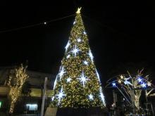 【クリスマスツリー】 徒歩 5分
お隣のニッケコルトンプラザの巨大クリスマスツリー！