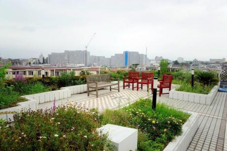 屋上庭園