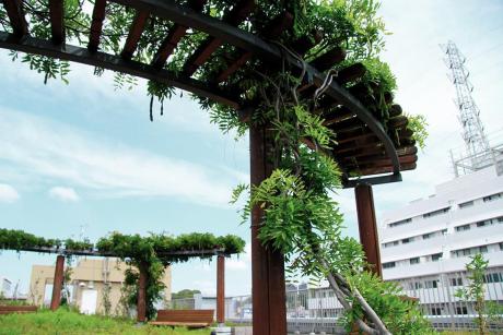屋上庭園