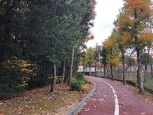 【新檜尾公園】 徒歩 15分
四季を感じ、お散歩としても最適な大型公園
