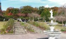 【西宮市北山緑化植物園】 車 20分
花と緑が溢れる植物園です。見本園には約200種類の草花があります。