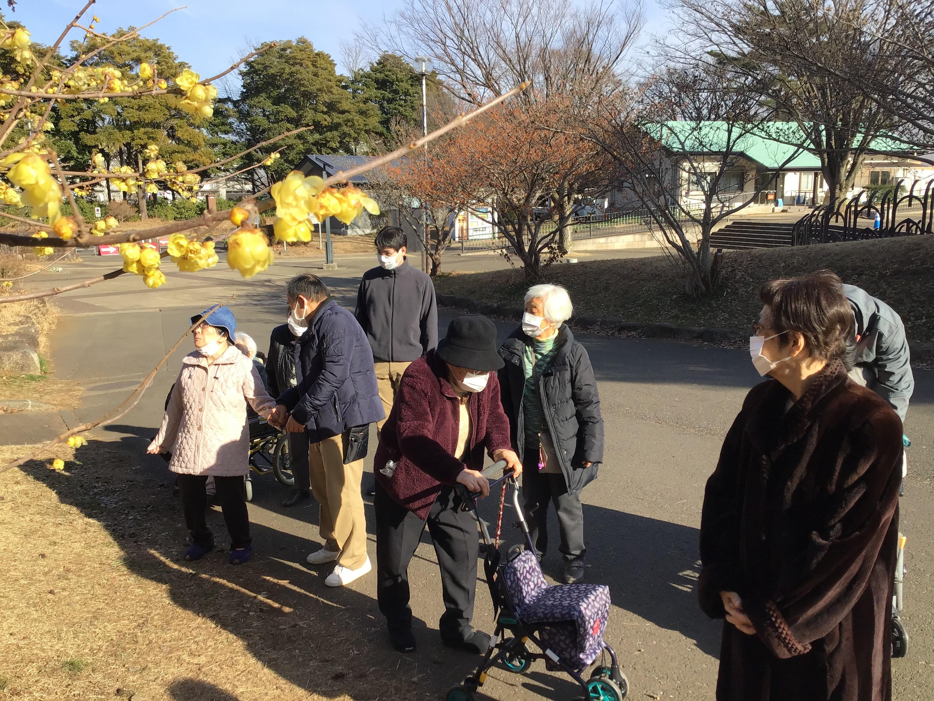 和光市樹林公園へお花見1