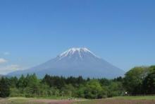 【富士山】 車 50分
季節ごとにお楽しみいただける富士山、丹沢山系、箱根連山の景観が広がります。