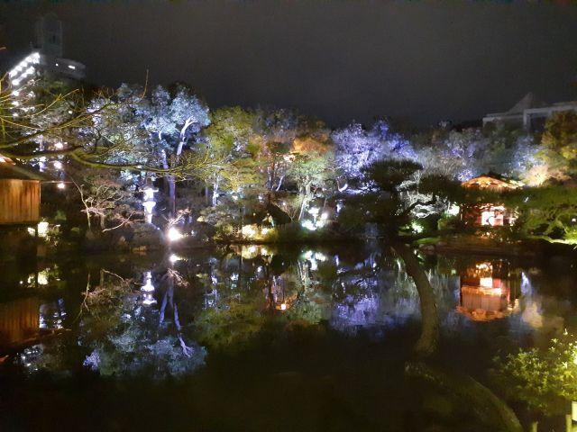 ☆相楽園ライトアップ☆