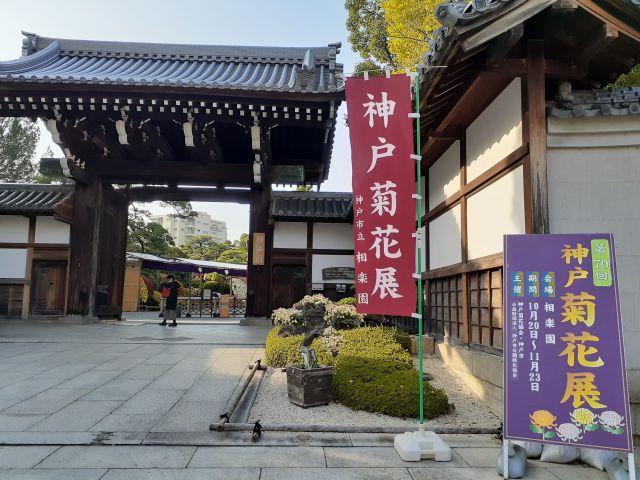 相楽園で開催されている「第70回神戸菊花展」に行ってきた✿