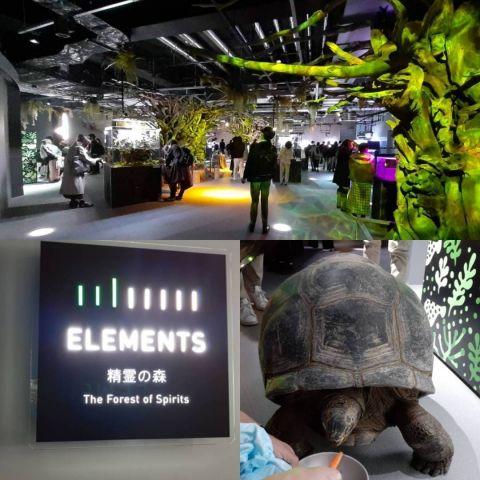水族館「&aacute;toa」「精霊の森」でゾウガメたちと触れ合おう?