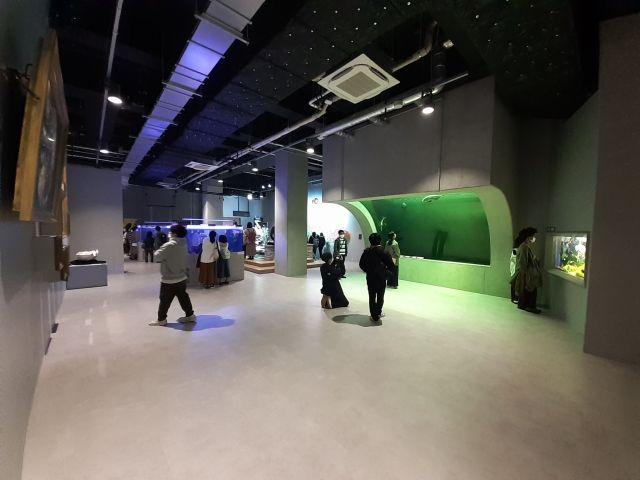 水族館「&aacute;toa」「探求の室」でオーバーハング水槽を見る