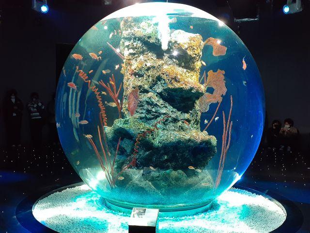 「&aacute;toa」日本最大級の球体水槽 「AQUA TERRA」