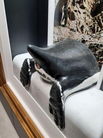 水族館「&aacute;toa」「探求の回廊」でペンギンのお尻をかぐ