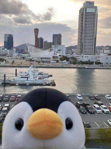 都市型水族館「&aacute;toa」「&aacute;toa」からエレガリオ神戸を観る
