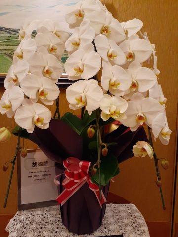 「全国洋らん品評会」金賞受賞  卒寿を迎えられたご入居者さま