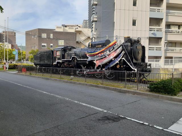 エレガリオ神戸の周りで飾られていた鯉のぼりを観に行ってきた??