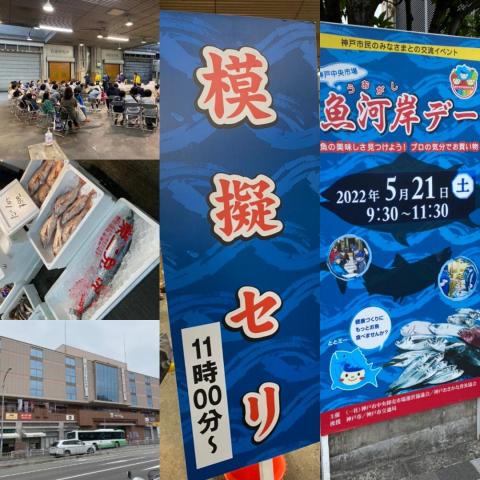 神戸市民の台所の神戸市中央卸売市場で開催された「魚河岸デー」に行って来た???