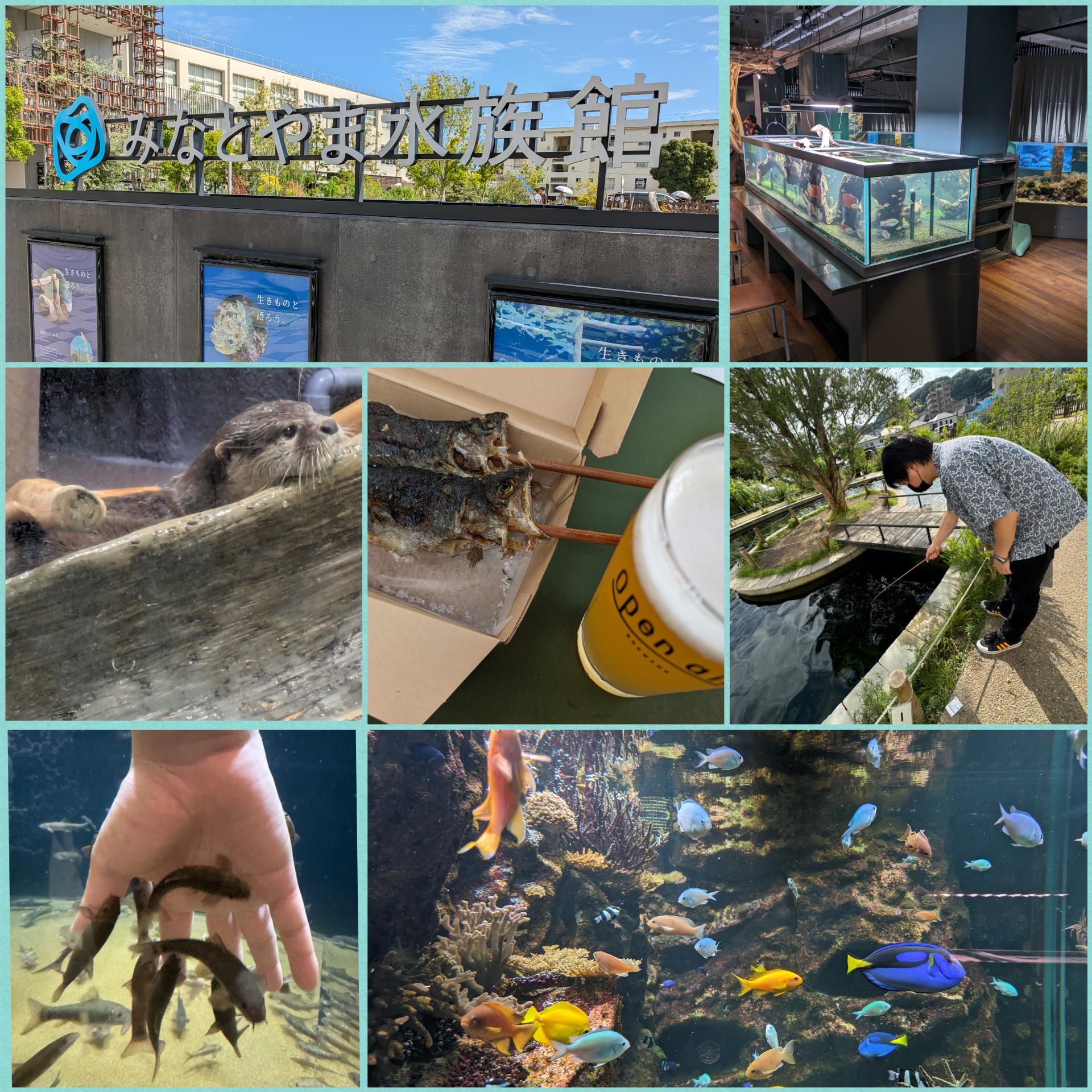 「みなとやま水族館」旧湊山小学校跡に開設した水族館?