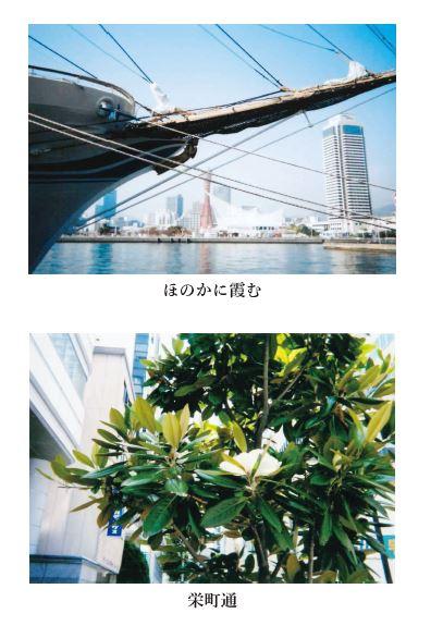 ご入居者さんはインスタントカメラで写真を撮影されるのが趣味なんだとか。
