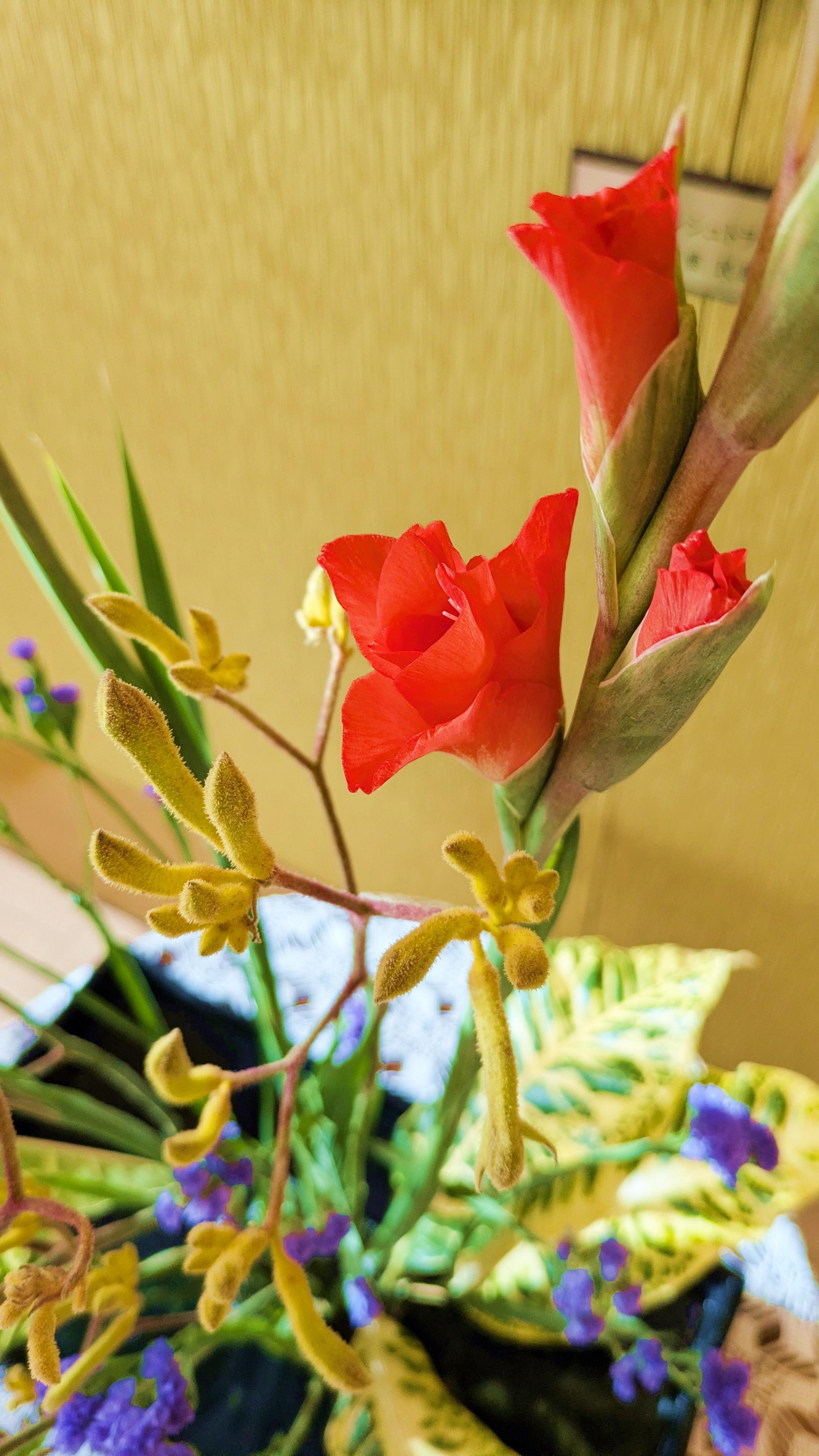 季節の生花で彩るロビーのご紹介（12月前半）