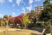 【本多聞公園】 徒歩 1分
ドマーニ神戸のすぐ隣。広々とした公園があります。ご入居者のお散歩に人気です。
