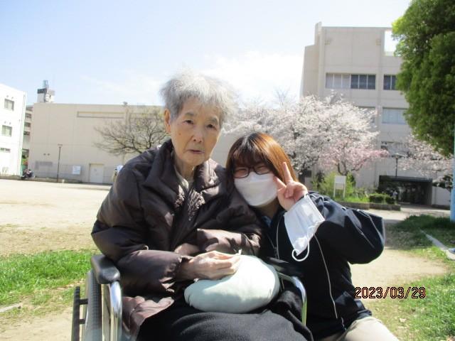 野中南公園へお花見