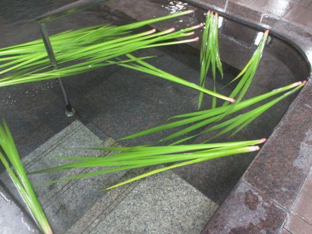 しょうぶ湯で無病息災を願いました