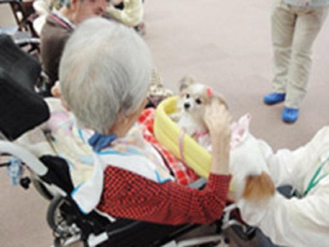 [施設の日常・イベント]アニマルセラピー