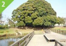 【井沼方公園】 徒歩 5分
四季を感じられる自然豊かな公園です。