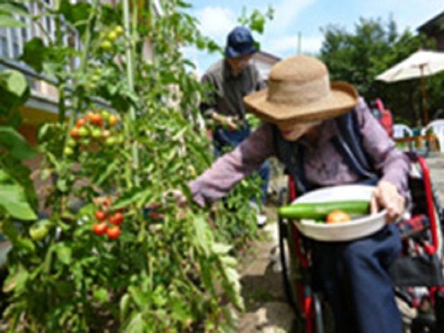 [施設の日常・イベント]園芸レクリエーション