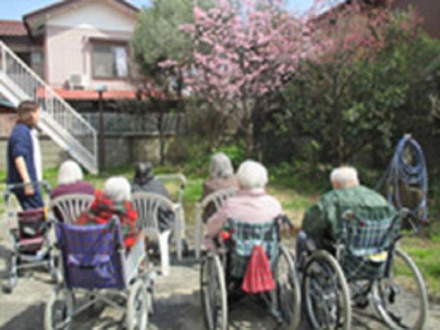 [施設の日常・イベント]中庭にて花見