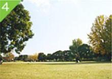 【大師公園】 徒歩 3分
広々とした芝生広場や大型複合遊具があり、家族で楽しめる公園です。