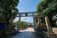 【本住吉神社】 徒歩 10分
ＪＲ住吉駅の南西には本住吉神社がございます