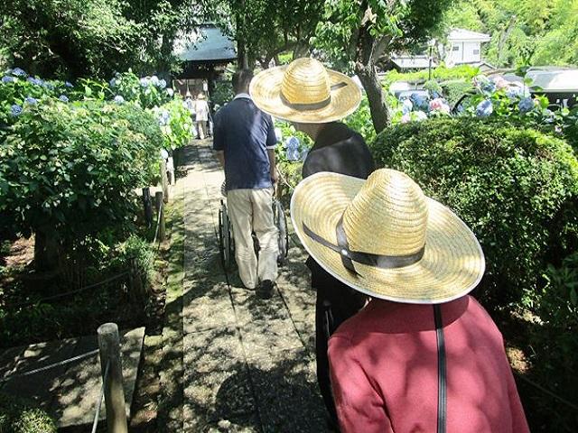 [アクティビティ]外出レクリエーションあじさい寺