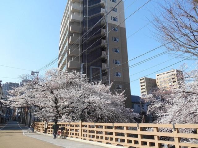 SOMPOケア そんぽの家Ｓ板橋仲宿