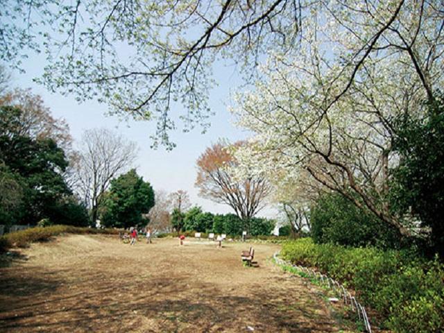 白幡公園 （約200m）