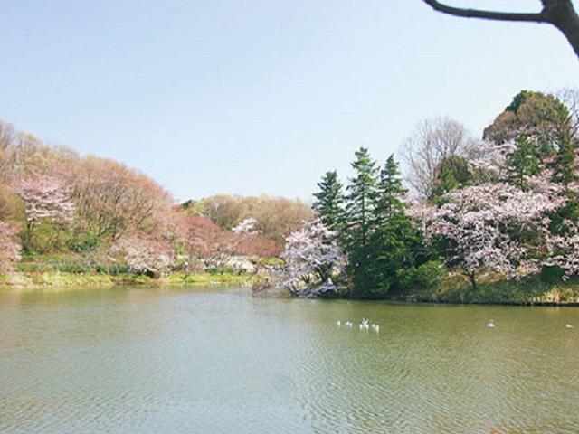 三ツ池公園 (約1,900m)