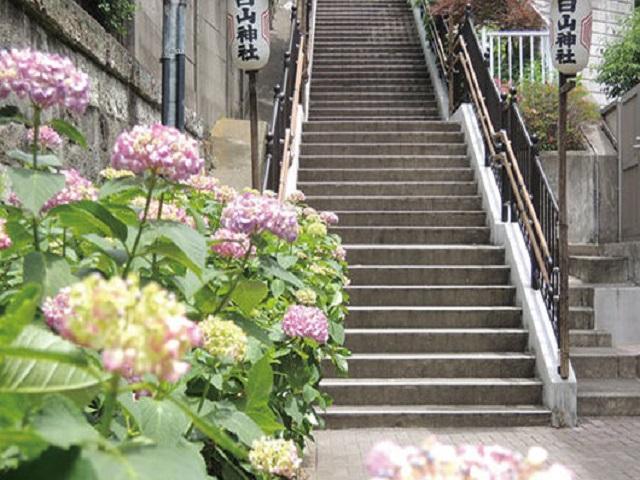 白山神社