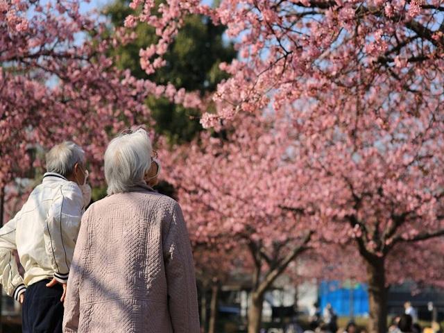 お散歩の様子